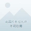 要抓住领导干部这个关键少数