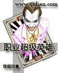 职业超级英雄 半月骑士
