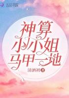 神算大小姐书包网